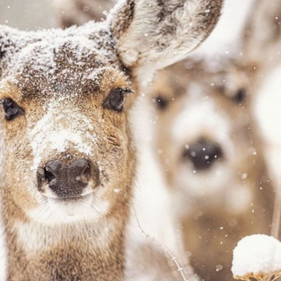 Διάβασε ΔΩΡΕΑΝ την προσωπική σου πρόβλεψη, για σήμερα 26/01/2024