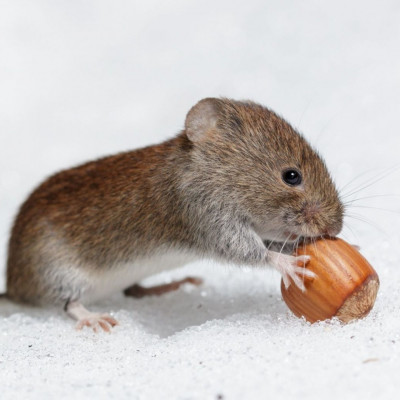 Διάβασε ΔΩΡΕΑΝ την προσωπική σου πρόβλεψη, για σήμερα 22/01/2024