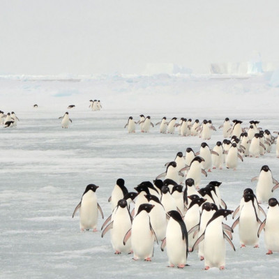 Διάβασε ΔΩΡΕΑΝ την προσωπική σου πρόβλεψη, για σήμερα 16/01/2024