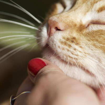 Τα ζώδια που θα βρεθούν στο επίκεντρο σήμερα, 26/01