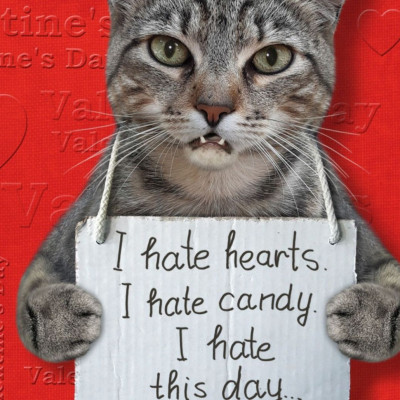 Τα ζώδια που σιχαίνονται ό,τι έχει σχέση με τον Αγ. Βαλεντίνο