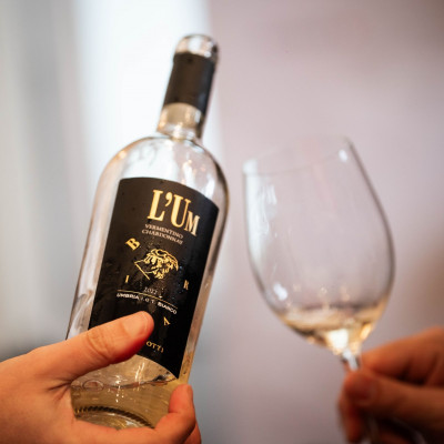 ΟΙΝΟ VINO -Ελληνικός & Ιταλικός αμπελώνας: Ένα συναρπαστικό ταξίδι, όπου η Ελλάδα συναντά την Ιταλία