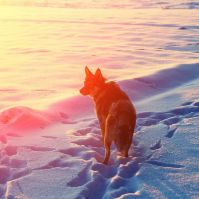 Διάβασε ΔΩΡΕΑΝ την προσωπική σου πρόβλεψη, για σήμερα 14/02/2024