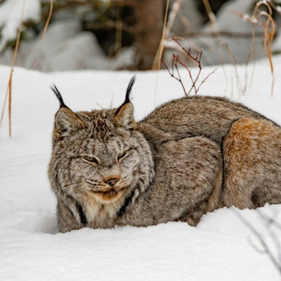 Διάβασε ΔΩΡΕΑΝ την προσωπική σου πρόβλεψη, για σήμερα 10/02/2024