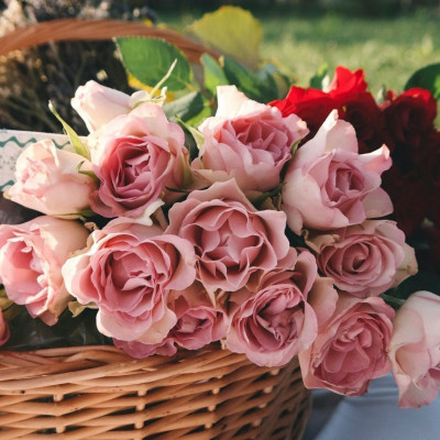 Πριν χαρίσεις λουλούδια στον αγαπημένο σου δες τι συμβολίζουν