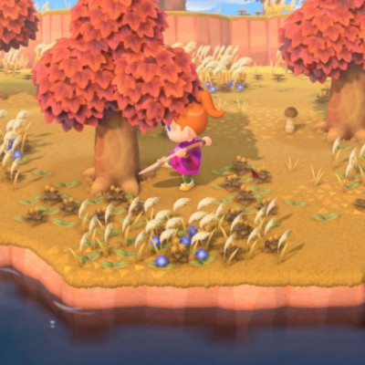 Αυτός είναι ο τρόπος για να δημιουργείς καθημερινά τον δικό σου… παράδεισο