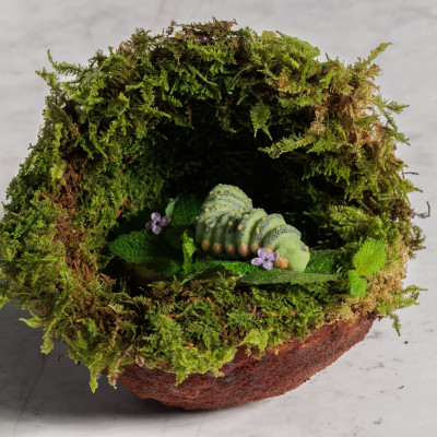 To νέο μενού του Delta Restaurant στοχεύει στην ανώτατη γαστρονομική διάκριση