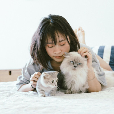 Παγκόσμια Ημέρα Γάτας και με αυτά τα tips δεν θα σε κοιτάει «με μισό μάτι» στις διακοπές σας