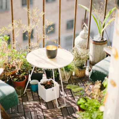 Έρχεται κρύο: Το μπαλκόνι σου είναι έτοιμο; Ποια φυτά αντέχουν τον χειμώνα;