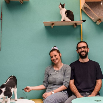 1o Cat Festival: Η περιέργεια γιόρτασε τη γάτα!