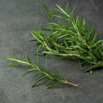 Άναψε ένα κλαδί δεντρολίβανου στο σπίτι: γιατί το προτείνουν και τι προσφέρει