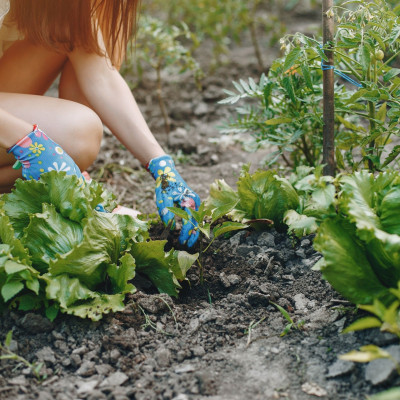 5 τρόποι να καλλιεργήσεις περισσότερα φρούτα και λαχανικά, ακόμα κι αν δεν έχεις αυλή