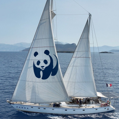 Μπορεί να μην υπάρχει παραμυθένιο περιβάλλον