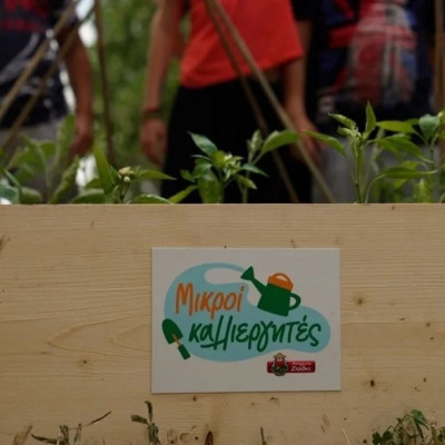 Πώς ένας σχολικός λαχανόκηπος μπορεί να μετατραπεί σε μάθημα διατροφής (και ζωής)