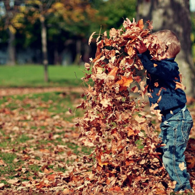 Οι γονείς θέλουν παιδιά με περιέργεια αλλά λένε «πρόσεχε» 27 φορές τη μέρα, σύμφωνα με έρευνα