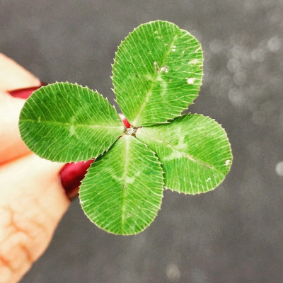 6 μικρές συνήθειες των ανθρώπων που προσελκύουν φυσικά την τύχη