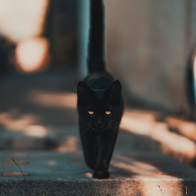 Τρίτη και 13; Δεν είναι αυτή η πιο «επικίνδυνη» μέρα του φετινού Ιανουαρίου, λένε οι αστρολόγοι