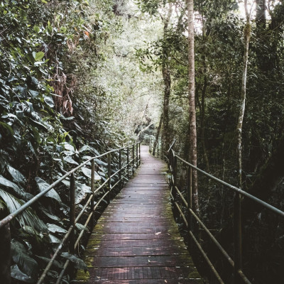 Οι επιπτώσεις ενός πολέμου θα είναι βαριές και στο περιβάλλον