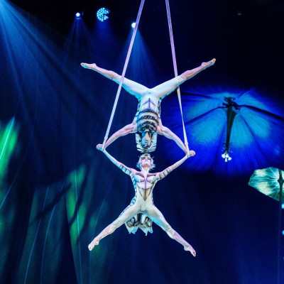 Το Cirque du Soleil παρουσιάζει το εντυπωσιακό show «OVO» στη Θεσσαλονίκη