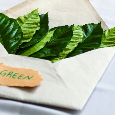  7 «τεμπέλικοι» τρόποι να γίνεις eco-friendly χωρίς να αλλάξεις τη ζωή σου