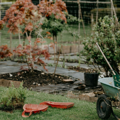 Τι είναι το chaos gardening: Η τάση της κηπουρικής χωρίς κόπο που κατακτά αυτή τη στιγμή τις αυλές