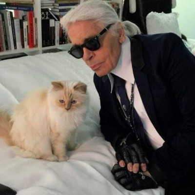 Χρεοκόπησε η Choupette; Η αλήθεια για τη γάτα του Karl Lagerfeld και το μερίδιο της κληρονομιάς