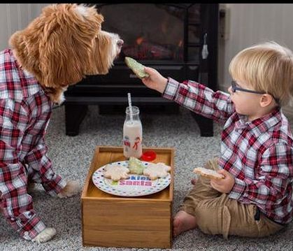 Παιδί και κατοικίδιο: 3 diy κατασκευές για να κυκλοφορούν με ασφάλεια στο σπίτι παιδιά & κατοικίδια