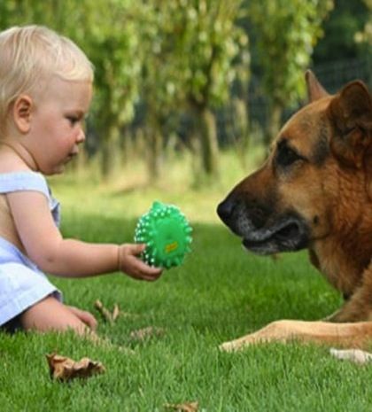 Υγιέστερα τα μωρά που μεγαλώνουν σε σπίτι με σκύλο