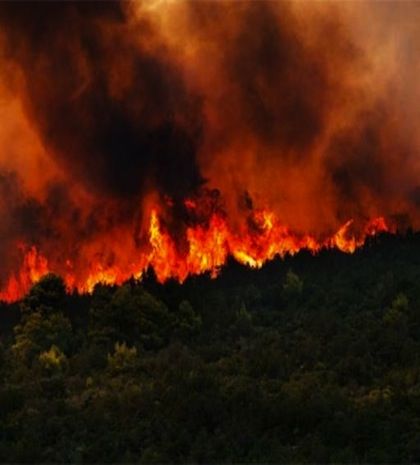 Σε εξέλιξη οι πυρκαγιές σε Λακωνία και Ιωάννινα