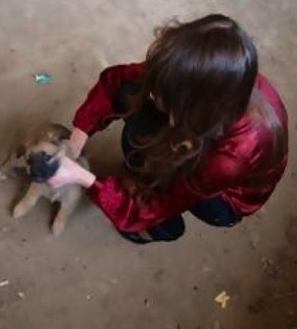 ΣΟΚ: Μοντέλο σκοτώνει κουτάβι σε φωτογραφική επίδειξη!