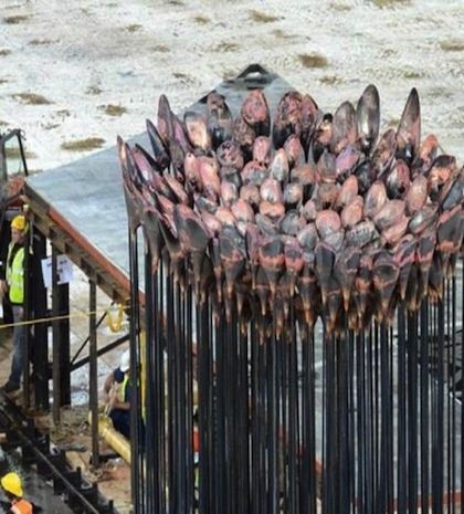 Τους έσβησε η Ολυμπιακή Φλόγα!