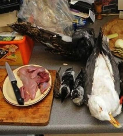 Οι πιο περίεργες δίαιτες που έχετε ακούσει!