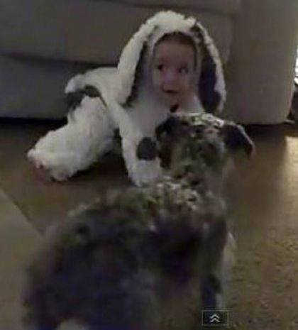 Πώς μια στολή μωρού, μπέρδεψε τον σκύλο!