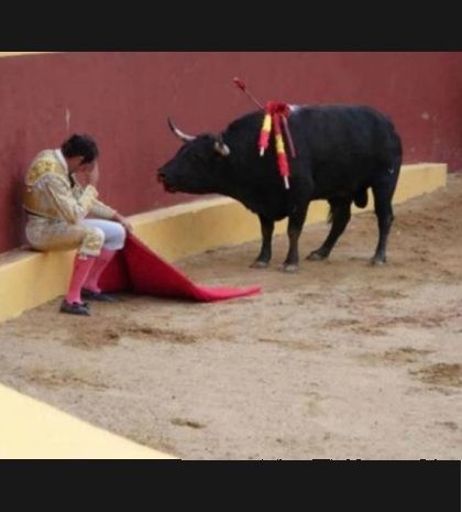 ΔΕΙΤΕ: Η φωτογραφία που έχει συγκινήσει το Facebook