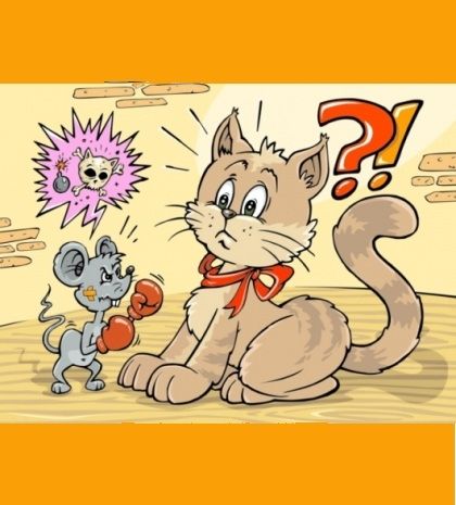 Όταν τα ζώδια θυμώνουν