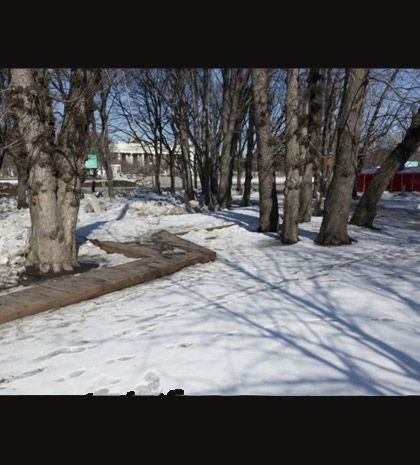 Μπορείτε να βρείτε τις μινιατούρες σε αυτές τις φωτογραφίες;