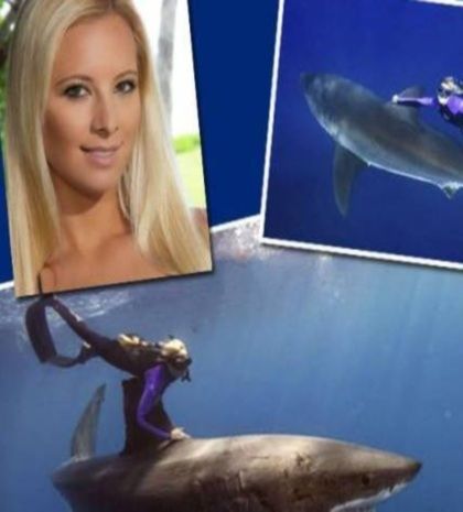 Χορεύοντας με τους καρχαρίες (pics)