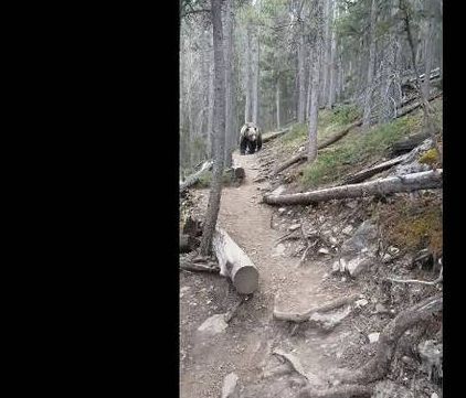 Μια ολίγον... τρομακτική συνάντηση (vid)