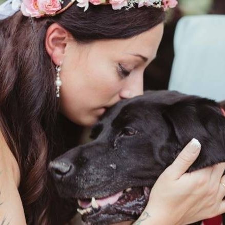 Ο σκύλος που έκανε καρδιές να ραγίσουν από συγκίνηση σε έναν γάμο