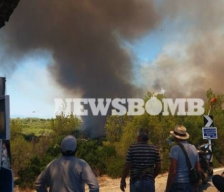 Φωτιά ΤΩΡΑ: Συναγερμός σε Ανάβυσσο και Σπέτσες – Μια ανάσα από τα πρώτα σπίτια οι φλόγες (pics+vids)