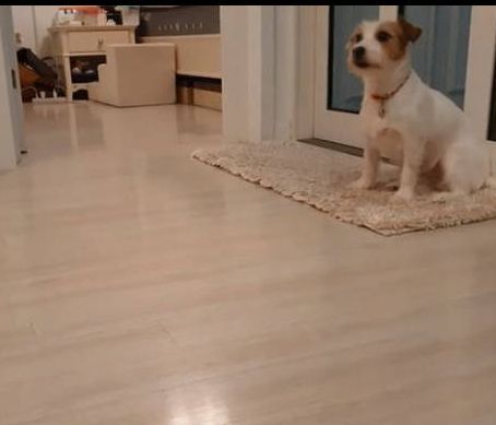 Όταν σε μαλώνουν και δεν αντέχεις άλλο την κατσάδα (vid)