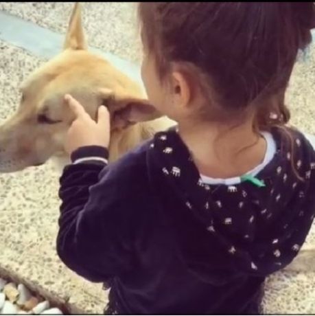 Despoina s little stories: «Ο βρωμικούλης Ιάσονας»