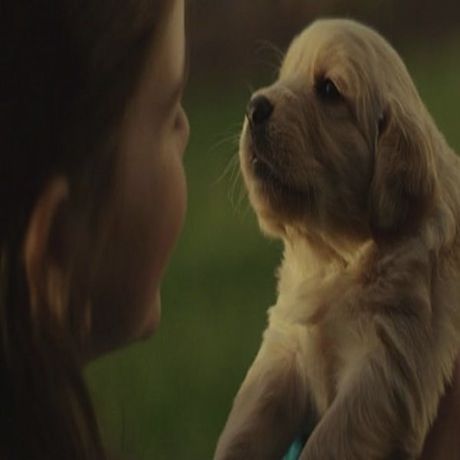 Το κορίτσι και το κουτάβι. Η φιλία που κρατάει μια ζωή (βίντεο)