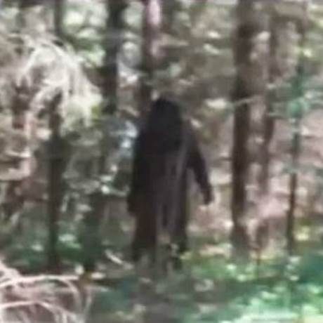 9χρονο αγόρι φωτογράφισε από κοντά μυθικό τέρας (pics+vid)