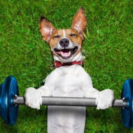 Τι να κάνετε για να αυξήσετε τον μεταβολισμό σας