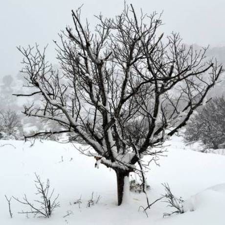Καιρός: Νέα επέλαση του χιονιά – Θα χιονίσει στο κέντρο της Αθήνας