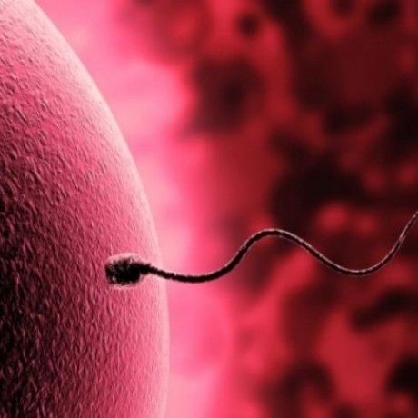 Πόσο ζει το σπέρμα μέσα στον κόλπο;
