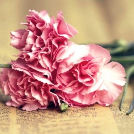 Ερωτική εβδομάδα για όλα τα ζώδια