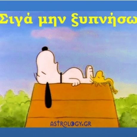 Η τυπική ημέρα ενός τυπικού Ιχθύ...