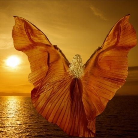 Αστρολογικό δελτίο για όλα τα ζώδια, από 25/3 έως 29/3